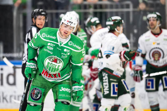 Rögle Alen Bibic deppar