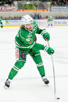 Rögles Olle Liss