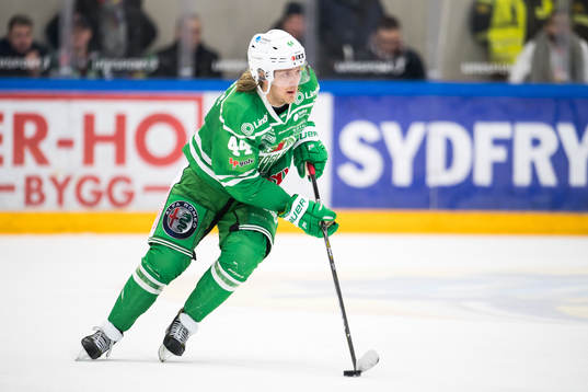 Rögles Olle Liss