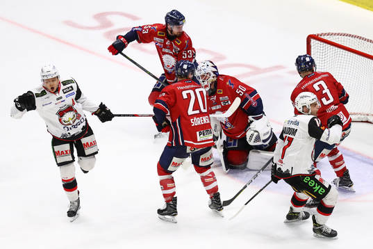 Malmö Redhawks Rhett Rakhshani jublar