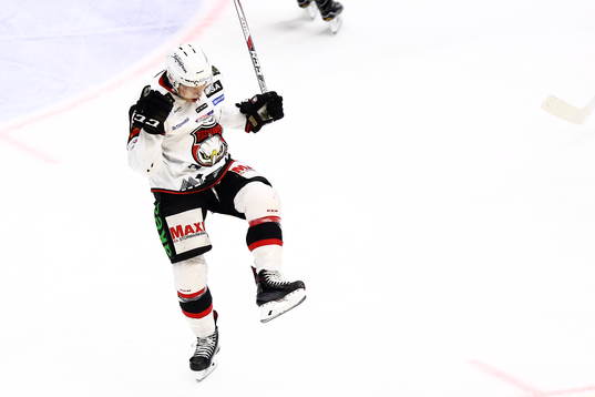 Malmös Redhawks Rhett Rakhshani jublar