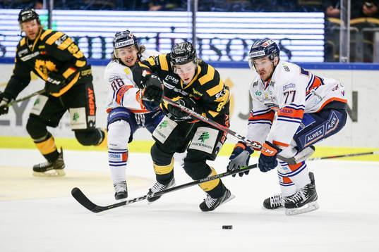 Skellefteås Tim Söderlund