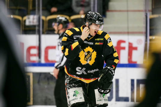 Skellefteås Henrik Hetta grinar illa