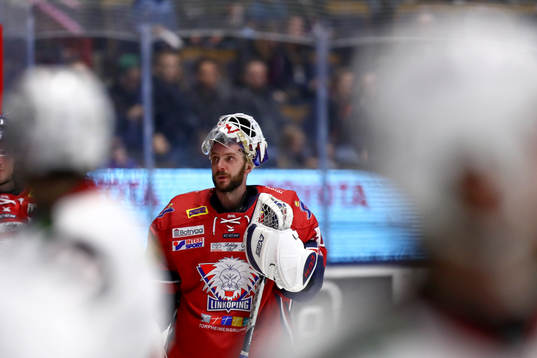 Linköpings målvakt Jonas Gustavsson