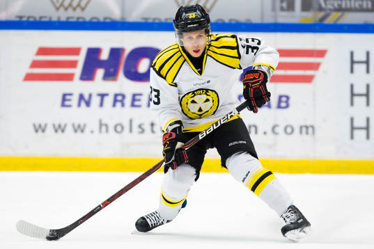 Brynäs Elias Fälth
