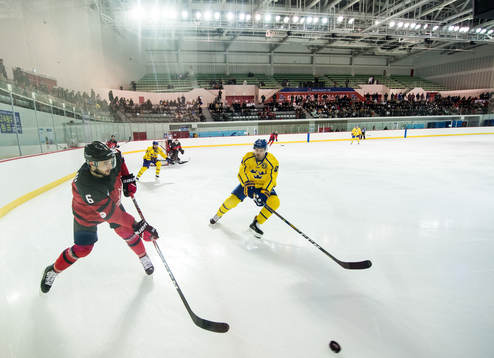 Maxim Noreau of Canada and Anton Lander of Sweden