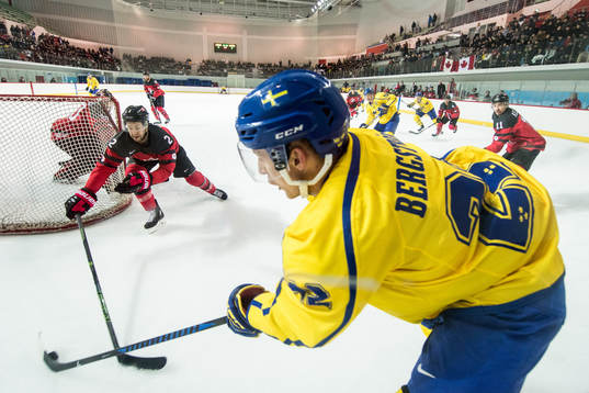 Marc-Andre Gragnani of Canada and Alexander Bergström of