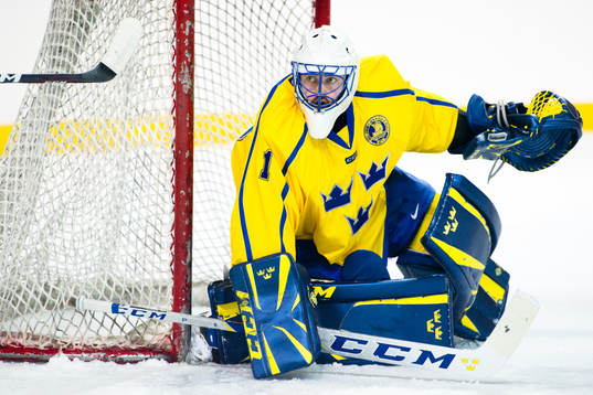 Goaltender Jhonas Enroth of Sweden