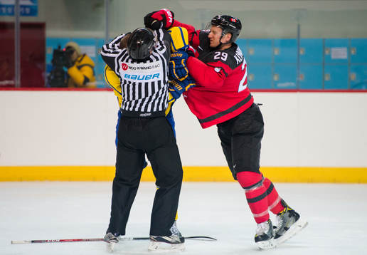 Patrik Hersley of Sweden in a fight with Rob Klinkhammer of