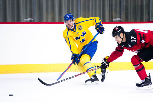 Patrik Hersley of Sweden and Rene Bourque of Canada