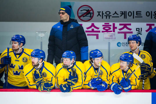 Peter Popovic, assistant coach of Sweden