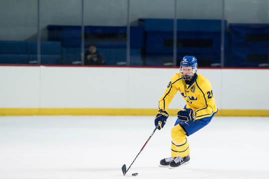 Rasmus Dahlin of Sweden