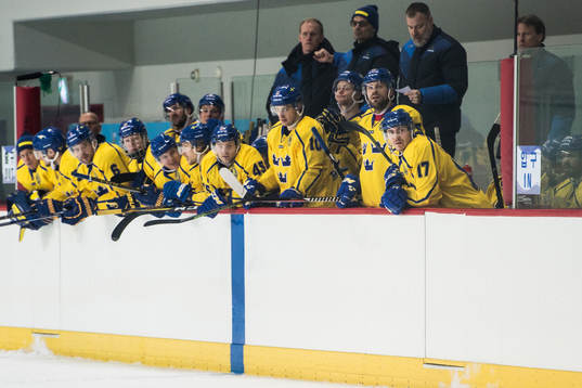 Sweden's bench