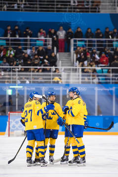 Players of Sweden