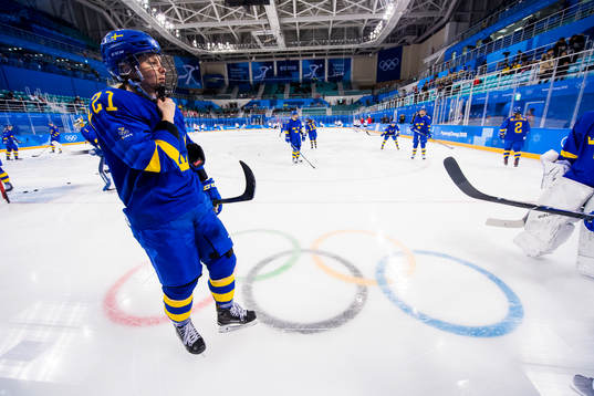 The players of Sweden
