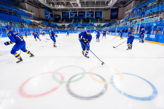 The players of Sweden