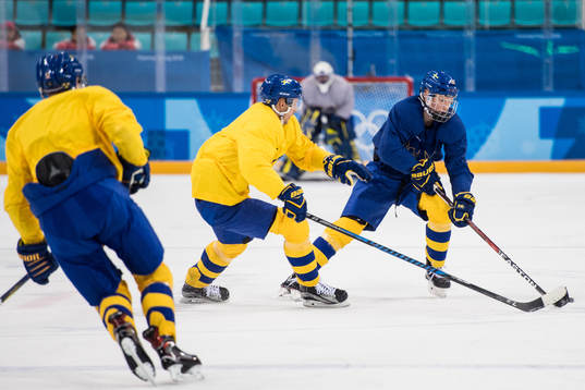 Rasmus Dahlin of Sweden and Alexander Bergström of Sweden
