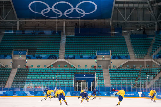 The players of Sweden