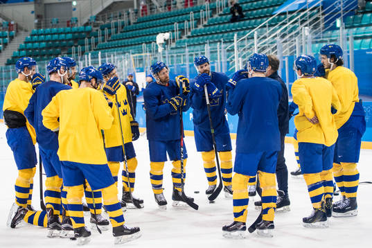 Players of Sweden