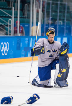 Goaltender Magnus Hellberg of Sweden