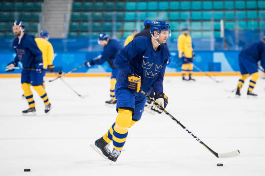 Staffan Kronwall of Sweden