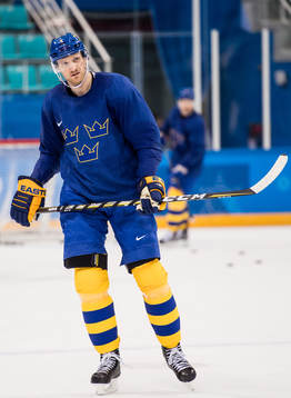 Staffan Kronwall of Sweden