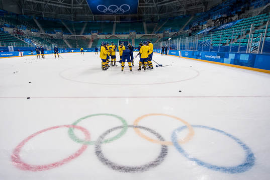 Players of Sweden