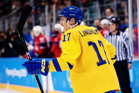 Pär Lindholm of Sweden celebrates scoring 1-0  in the