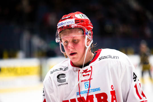 Timrås Fabian Zetterlund deppar