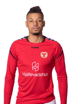 Kalmars Mikael Dyrestam