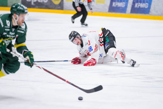 Vita Hästens Mattias Kalin