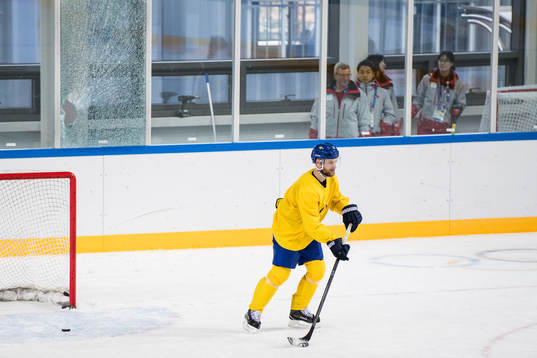 Fredrik Pettersson of Sweden breaks the glas behind the goal