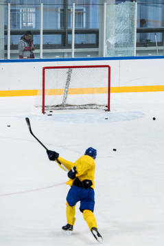 Fredrik Pettersson of Sweden breaks the glas behind the goal