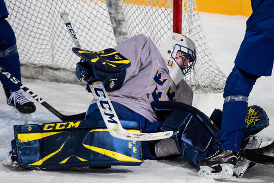 Goaltender Jhonas Enroth of Sweden