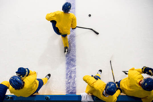 Players of Sweden