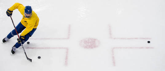 Rasmus Dahlin of Sweden