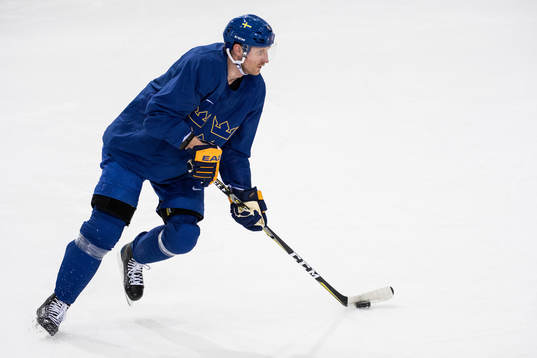 Staffan Kronwall of Sweden