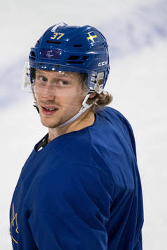 John Norman of Sweden