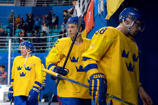 Alexander Bergström of Sweden och Anton Lander of Sweden