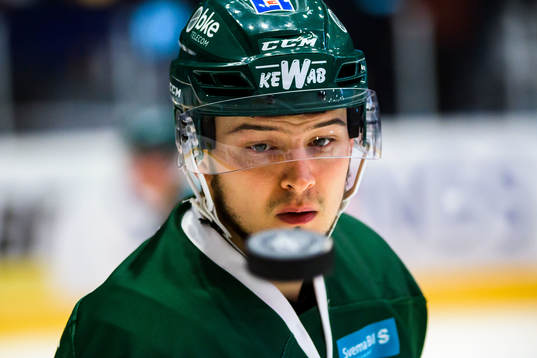 Färjestads Libor Hudacek