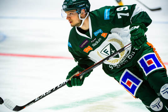 Färjestads Libor Hudacek