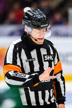Domare Sören Persson