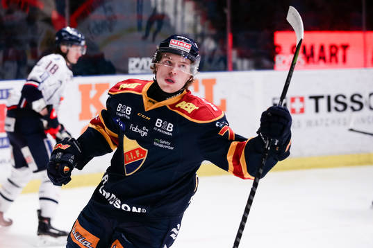 Bläddra bland fler bilder av Ishockey, SHL, Djurgården - Linköping