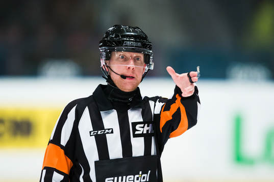 Domare Mikael Holm