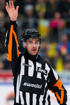 Domare Richard Magnusson
