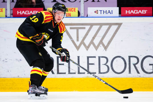 Brynäs Ludvig Nilsson