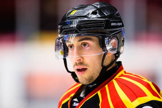 Brynäs Aaron Palushaj