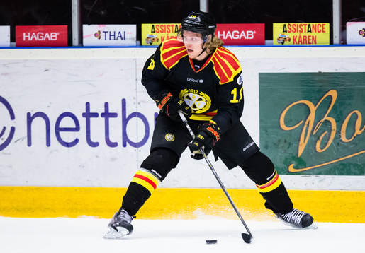 Brynäs Ludvig Nilsson