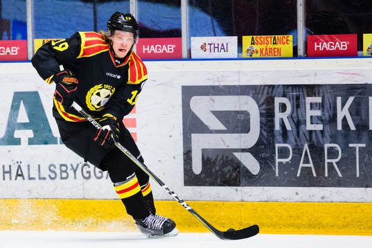 Brynäs Ludvig Nilsson