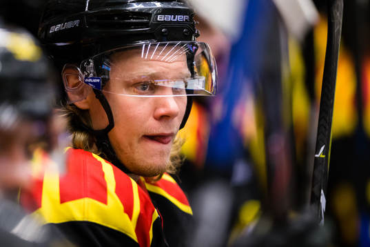 Brynäs Ludvig Nilsson